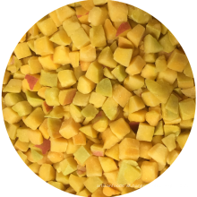 IQF frozen fruit Frozen Diced Apricot